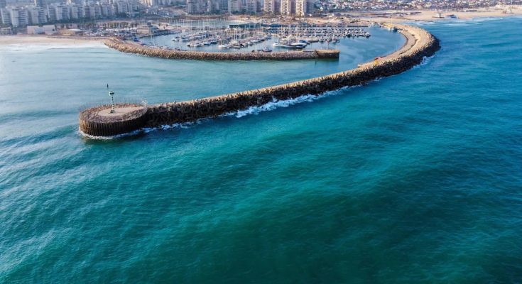 Helicopter captures video of world's largest fish in unexpected location: 'First documented sighting'