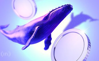 Whales Take Sides Post-Crash as Big Bets Hit BTC, ETH, and ENA - atlantisthemes