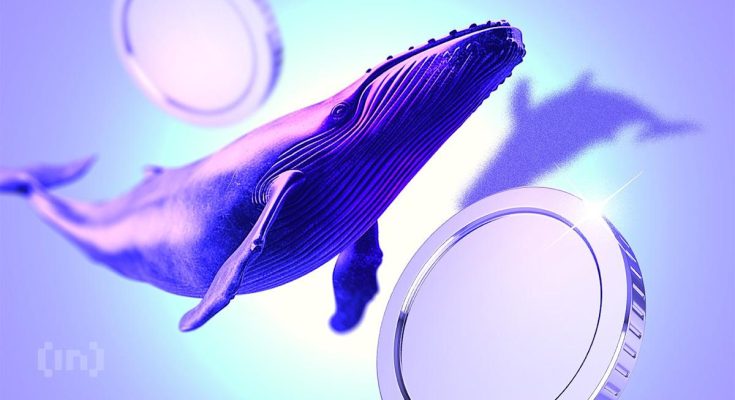 Whales Take Sides Post-Crash as Big Bets Hit BTC, ETH, and ENA - atlantisthemes