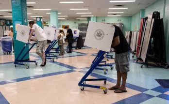 People voting in individual booths at a polling station