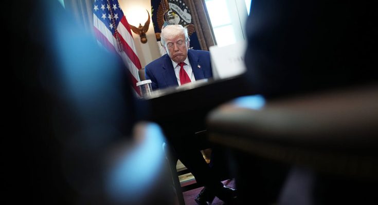 Breaking: Small businesses are being crushed by Trump's tariffs and economists say it's a warning for the economy