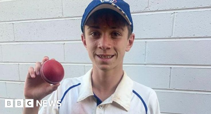 Teenage cricketer dies in Melbourne after being hit by ball - atlantisthemes