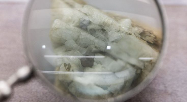 Concerned carmakers race to beat China's rare earths deadline - atlantisthemes