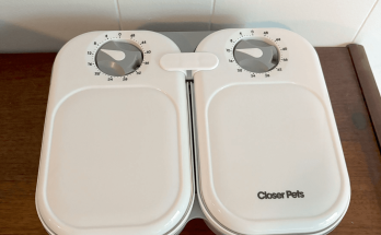 These WIRED-Tested Automatic Pet Feeders Are the Cat's Meow – Trends