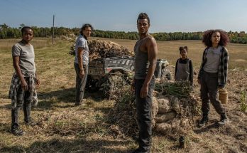 The 45 Best Movies on Hulu This Week – Trends