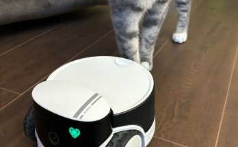 Here Are the Best Pet Cameras for Helicopter Pet Parents – Trends