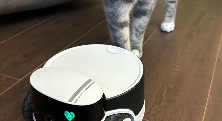 Here Are the Best Pet Cameras for Helicopter Pet Parents – Trends