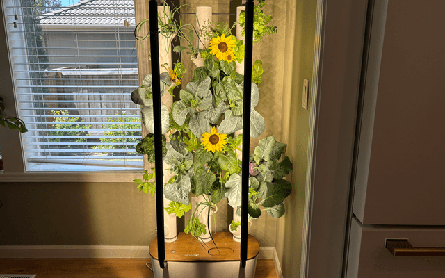 Which Indoor Gardening System Is Worth the Price? We Tried Them All – Trends