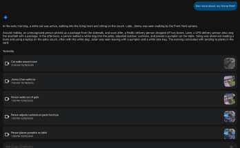 Gemini in Google Home Keeps Mistaking My Dog for a Cat – Trends