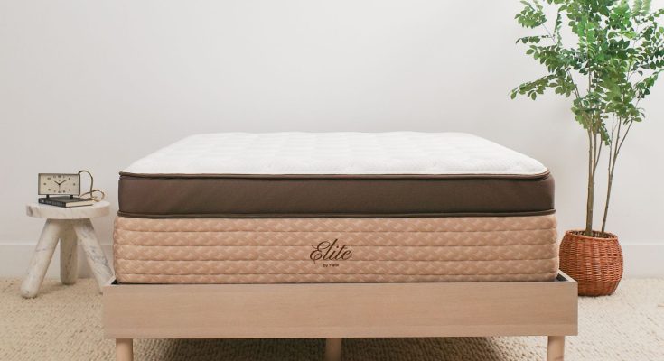 The Best Mattresses You Can Buy Online: We’ve Slept on 100-Plus – Trends