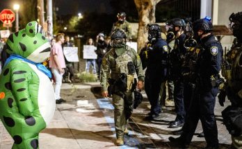 The Long History of Frogs as Protest Symbols – Trends