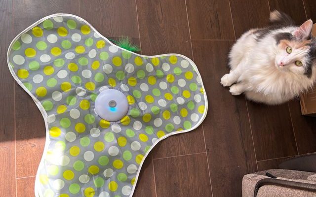 The Best WIRED-Tested Cat Toys for Your Sophisticated Fur Baby – Trends