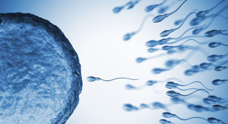 Sperm From Older Men Have More Genetic Mutations – Trends