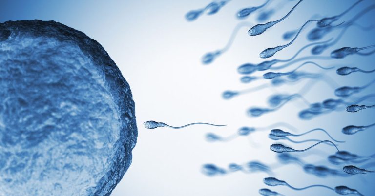 Sperm From Older Men Have More Genetic Mutations – Trends