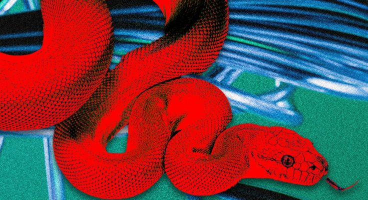 This ‘Privacy Browser’ Has Dangerous Hidden Features – Trends