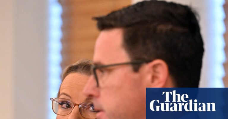 atlantisthemes - Sussan Ley under pressure as Nationals formally scrap net zero target