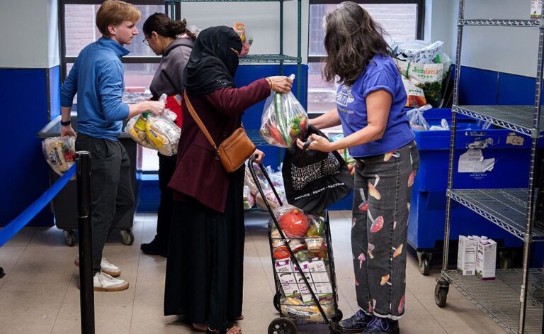 atlantisthemes - Courts Rule Trump Must Keep Paying SNAP Benefits During the Shutdown: What to Know