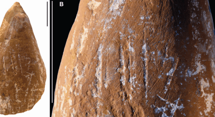 atlantisthemes - Wear marks suggest Neanderthals made ocher crayons