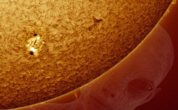 atlantisthemes - Astronomer Suspects Mysterious Object Is Up to No Good While It’s Hidden Behind the Sun: “If You Want to Take a Vacation, Take It Before Then”