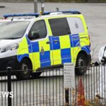 atlantisthemes - Rogiet: Nine-month-old baby killed in dog attack