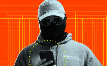 Federal immigration officers are busting out their phones to scan people's faces and confirm their residency.