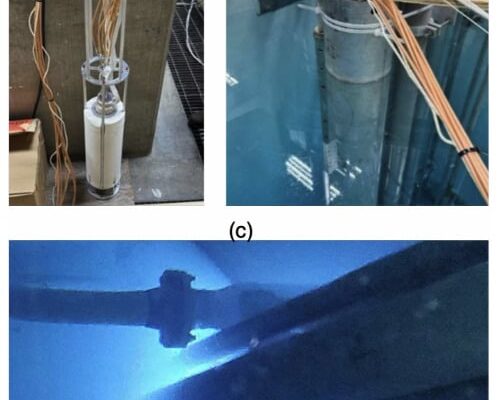 Microchip Sensor Nuclear Reactor Report Picture