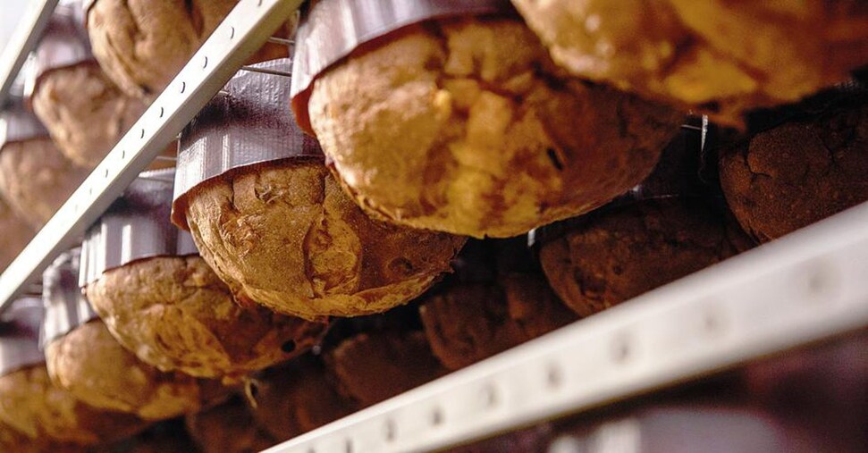 panettone-U45757386033LkN-1440x752@IlSole24Ore-Web.jpg