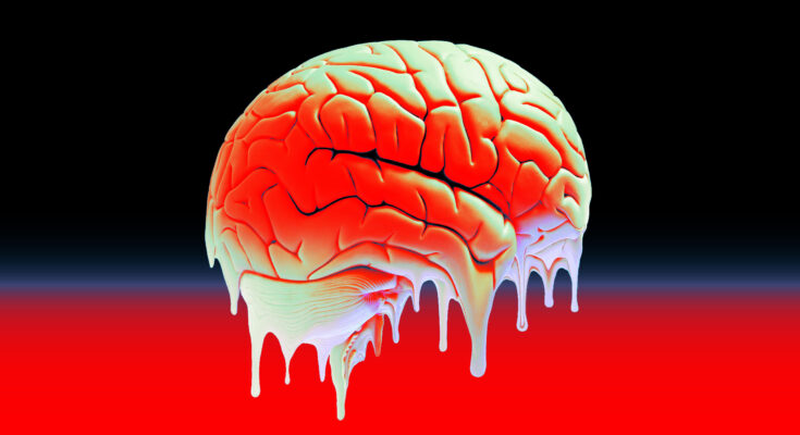 After a relentless Wikipedia vandal filled the "brain rot" page with brain rot, it's protected until next year.